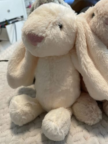 Customer photo review of Bunny Plush Toys
