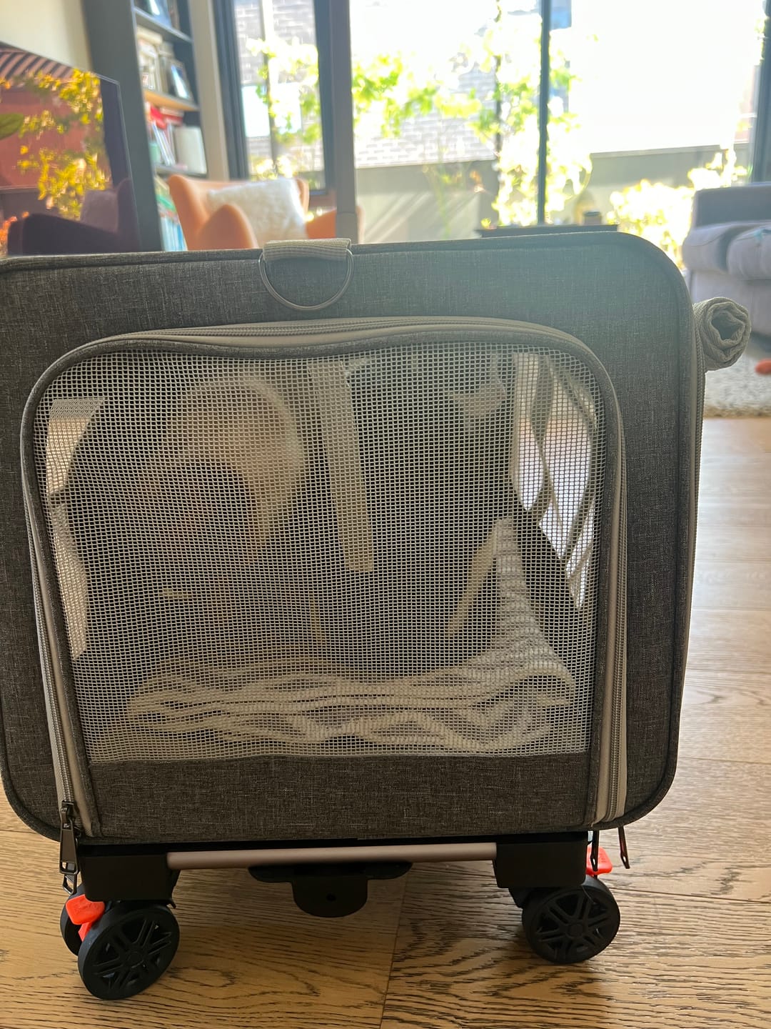 Customer photo review of Pawz Pet Carrier 4 Wheel Portable Rolling Foldable Dog Cat Travel Bag Max 50kg