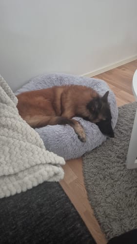 Customer photo review of CalmBed - Motverkar stress & hjälper mot ångest