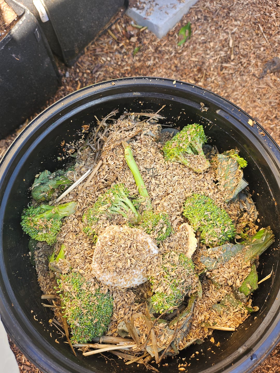 Customer photo review of BierKashi Bokashi 5 to 50 lbs