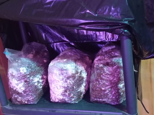 Customer photo review of Como hacer extractos medicinales en Casa - Curso Online