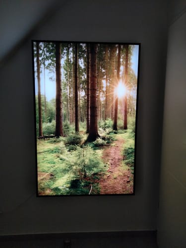 Customer photo review of Leuchtbild Acrylglas Canvalight® DIA | Wald mit Sonnenstrahlen No.2 | Hochformat
