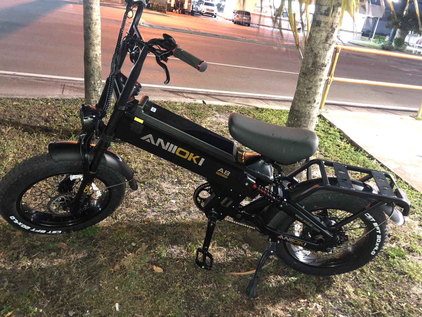 Customer photo review of 2025 Upgraded A8 Pro Max 52V eBike