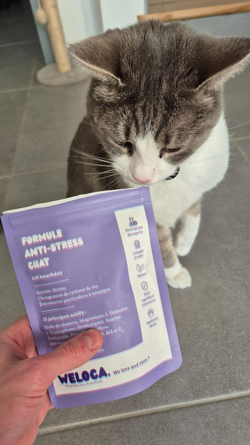 Customer photo review of Complément anti-stress  | Chat