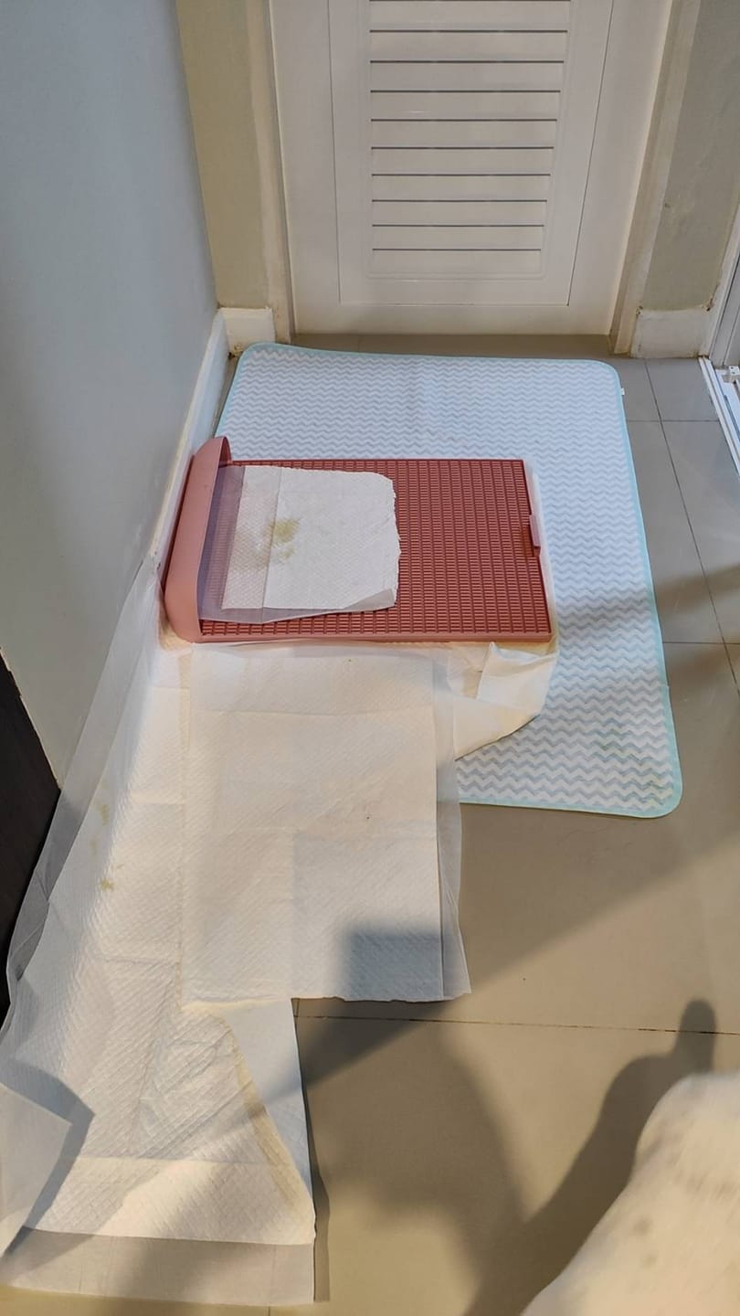 Customer photo review of Extended Protrusion Potty Pad (Size L)