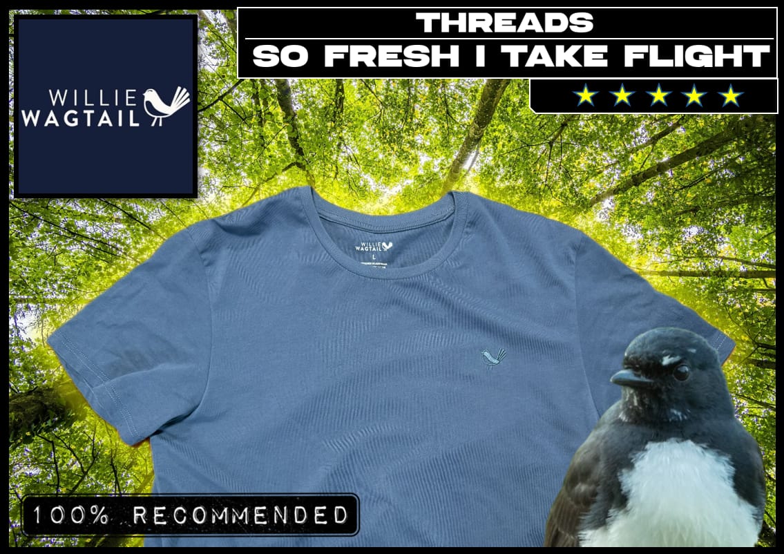 Customer photo review of Blue Steel - Organic Cotton T-Shirt
