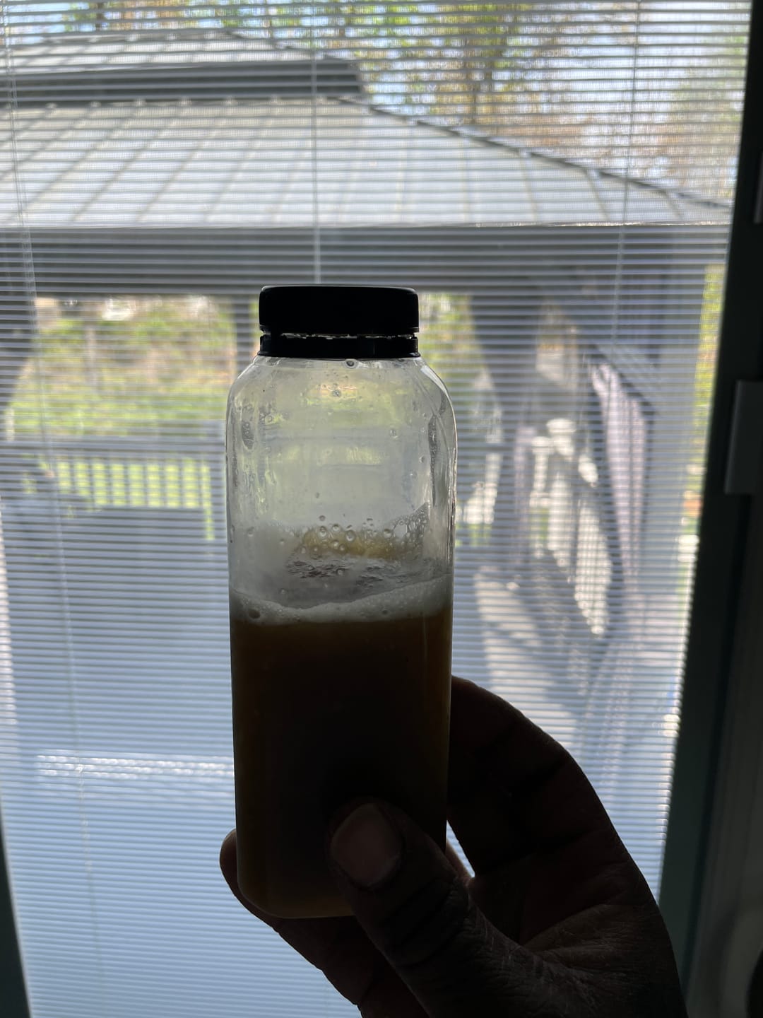 Customer photo review of Sugarcane Juice *Frozen*