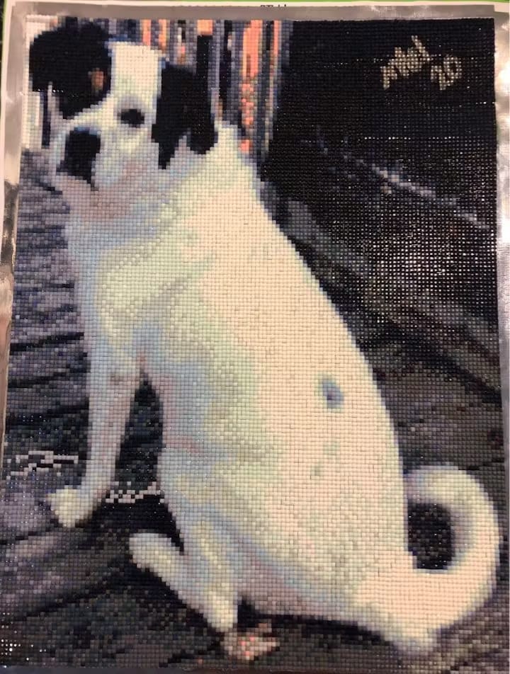 Customer photo review of DIAMOND PAINTING MED DIT EGET FOTO