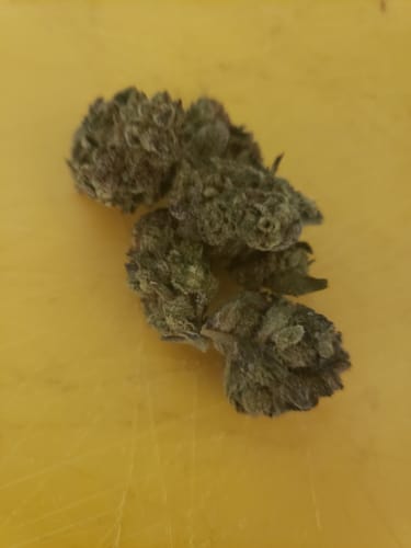 Customer photo review of Gold Spectrum THCA Flower - Top Quality Strain of the Month