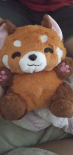Customer photo review of Red Panda Breathing Musical Plush Toy