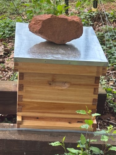 Customer photo review of BeeCastle Hives 10 Frame Wax Coat Complete Beehive Kit:2 Designed Deep Bee Boxes and 1 Super Medium Box,Includes Premium Wooden Frames and Beeswax-Plastic Foundation