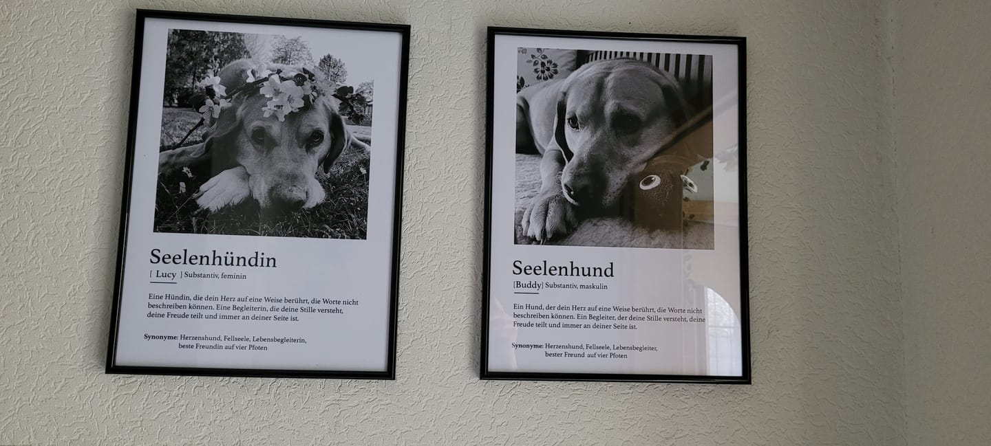 Customer photo review of Definition Seelentier - Individuelles Poster
