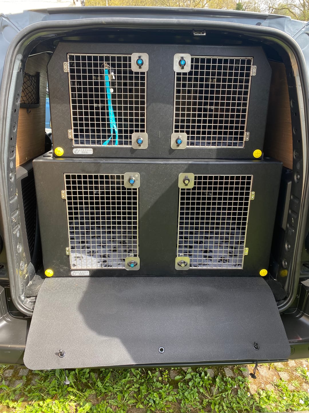 Customer photo review of Dog Van Kit | Citroën Berlingo | 2008-Present | Double stack | DT VS1