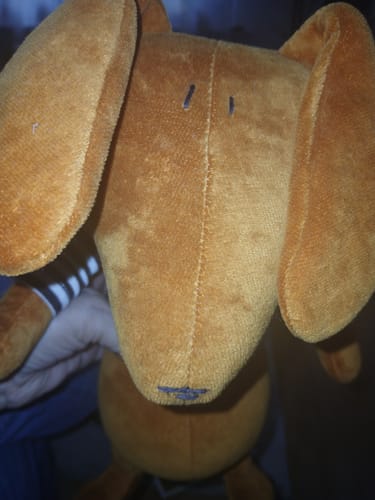 Customer photo review of SCOTT, LE TECKEL - GRAND