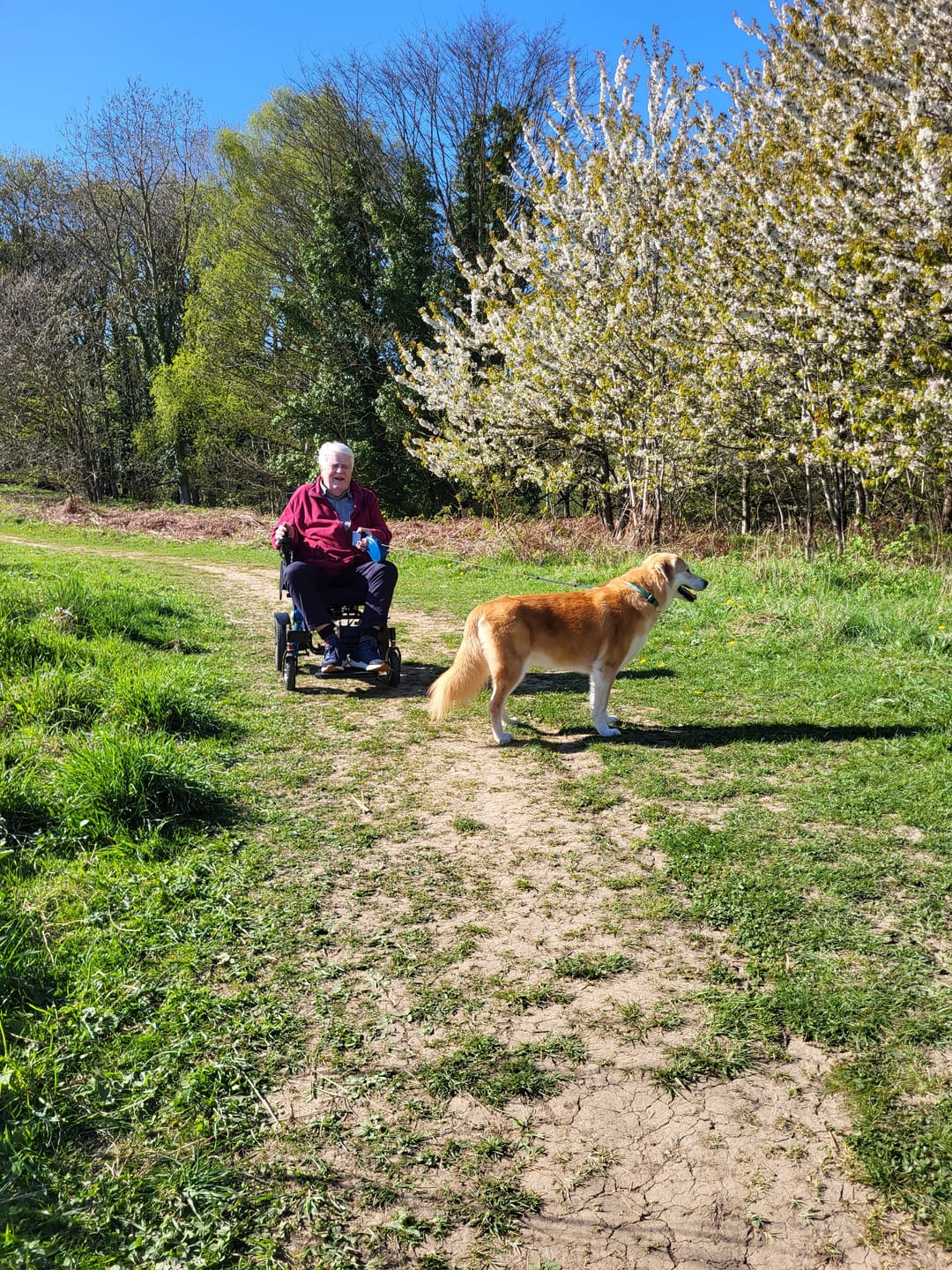 Customer photo review of Lightweight Electric Wheelchair Freedom Elite ST