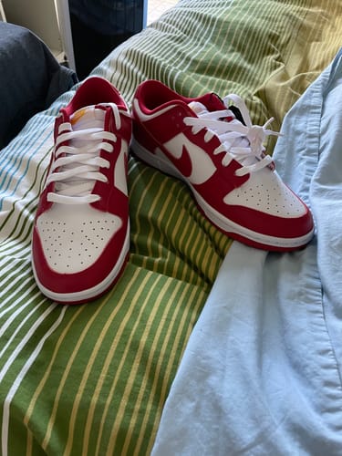 Customer photo review of Nike Dunk Low Retro 'Gym Red'