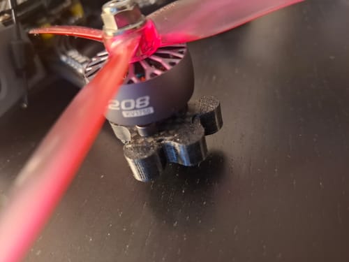 Customer photo review of ERA Chooch Gloves