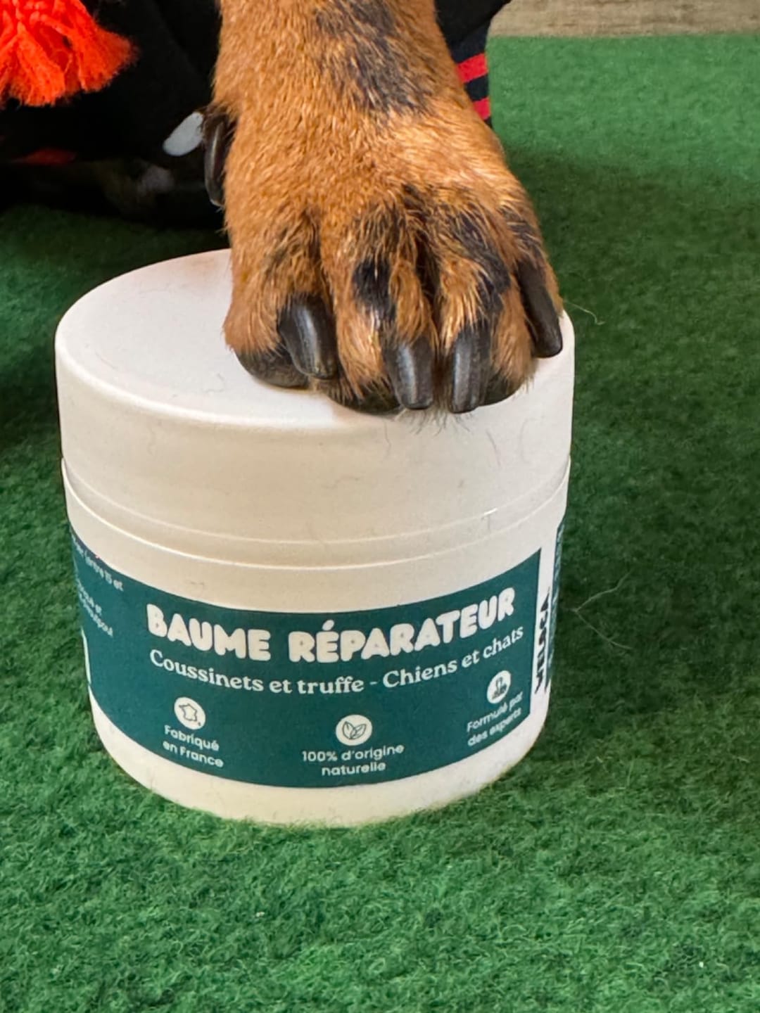 Customer photo review of Baume réparateur | Chiens et chats