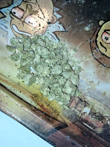 Customer photo review of Snowballs THCa Flower