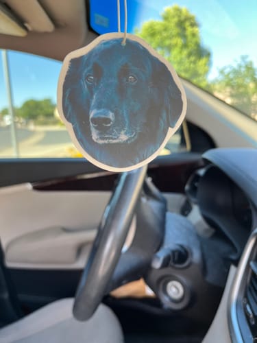 undefined review of Custom Air Freshener image 1 out of 1