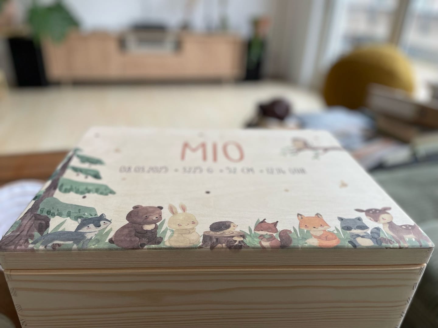 Customer photo review of Erinnerungsbox Baby Waldtiere