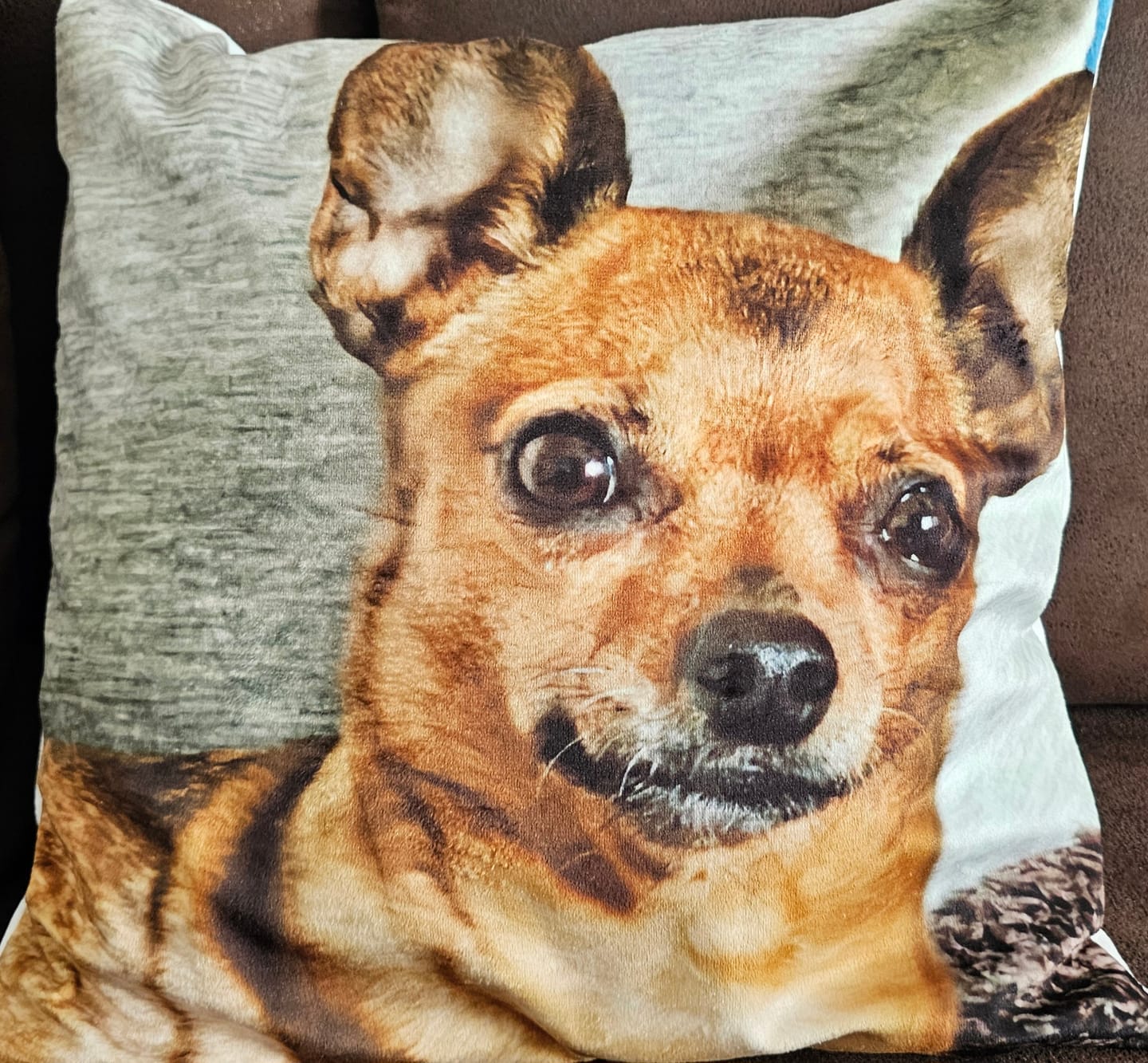Customer photo review of Fotokissen - Individuelles Kissen