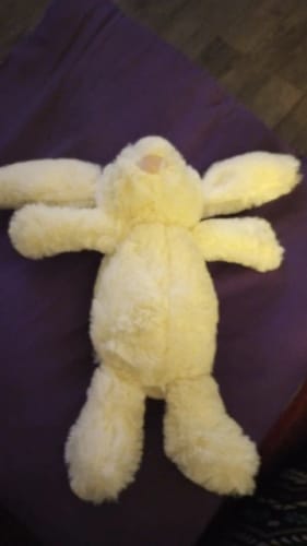 Customer photo review of Bunny Plush Toys