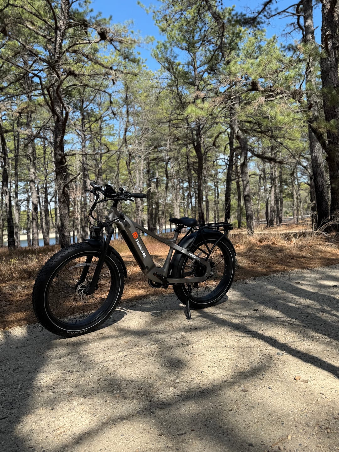 Customer photo review of FD Saiga All-terrain Fat Tire Electric Bike丨UL Certified