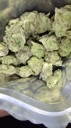 Customer photo review of Shipping Protection by Route