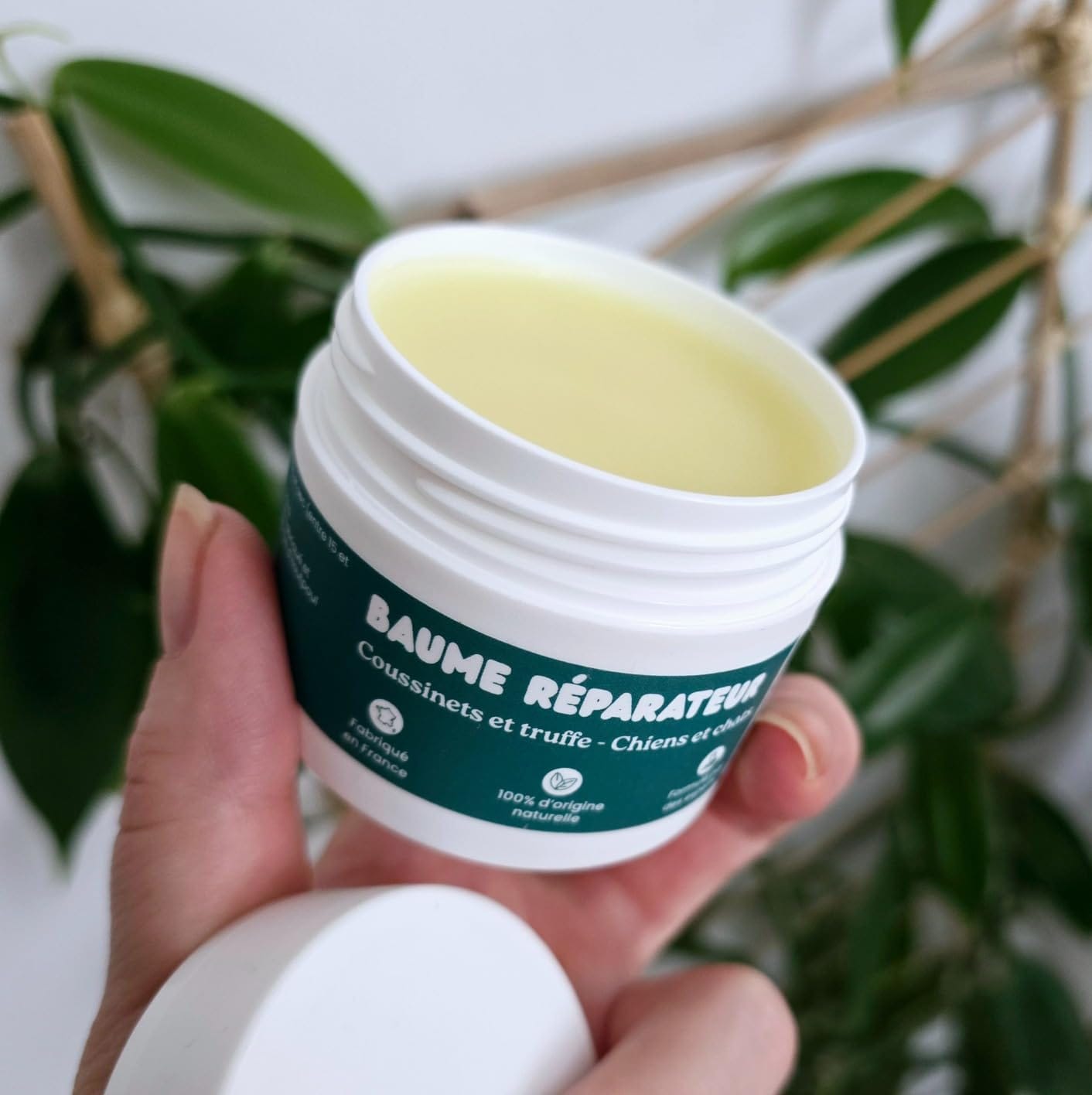 Customer photo review of Baume réparateur | Chiens et chats