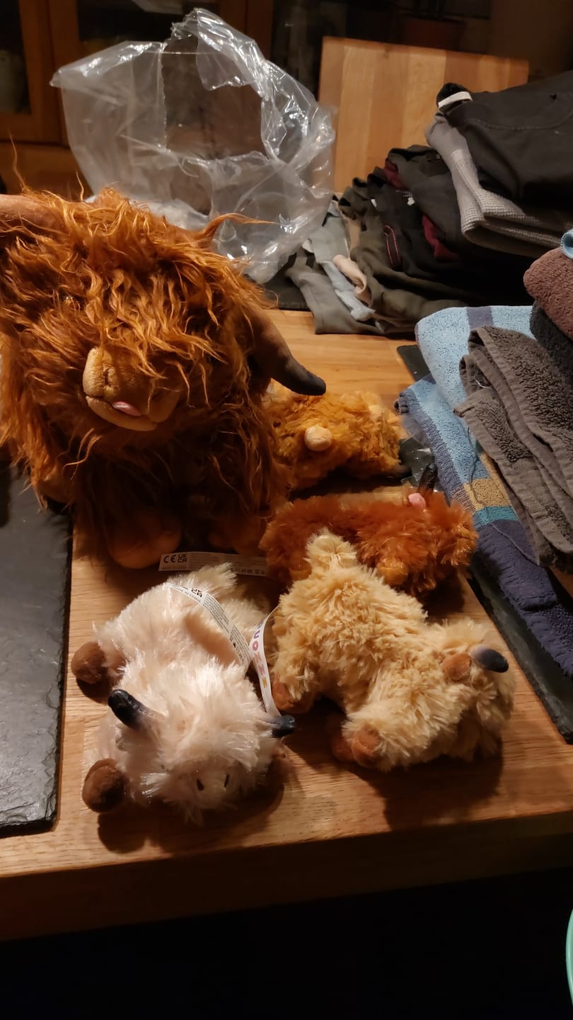 Customer photo review of Highland Cow Tier Familie Plüschtier-Set