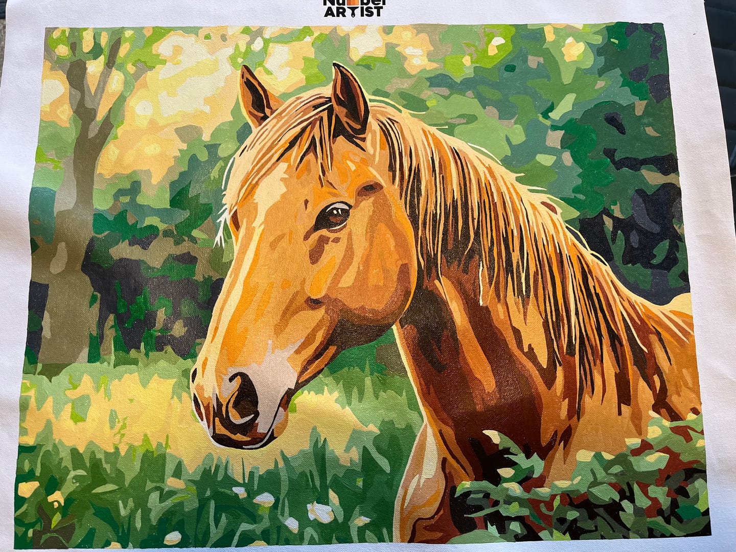 Customer photo review of Fierce Stallion