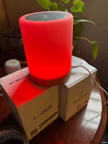 Verified customer photo review of Friendship Lamp