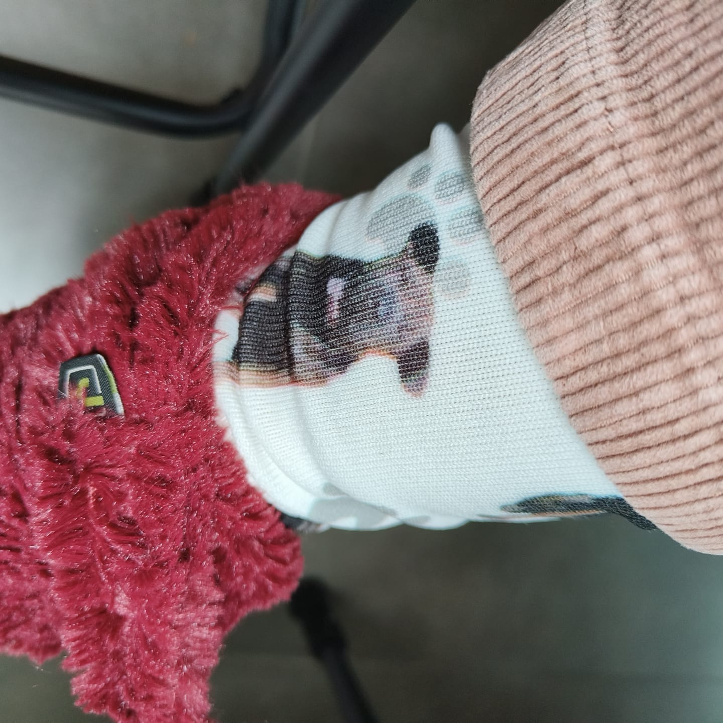 Customer photo review of FaceSock® | Custom Honden Sokken Met Foto