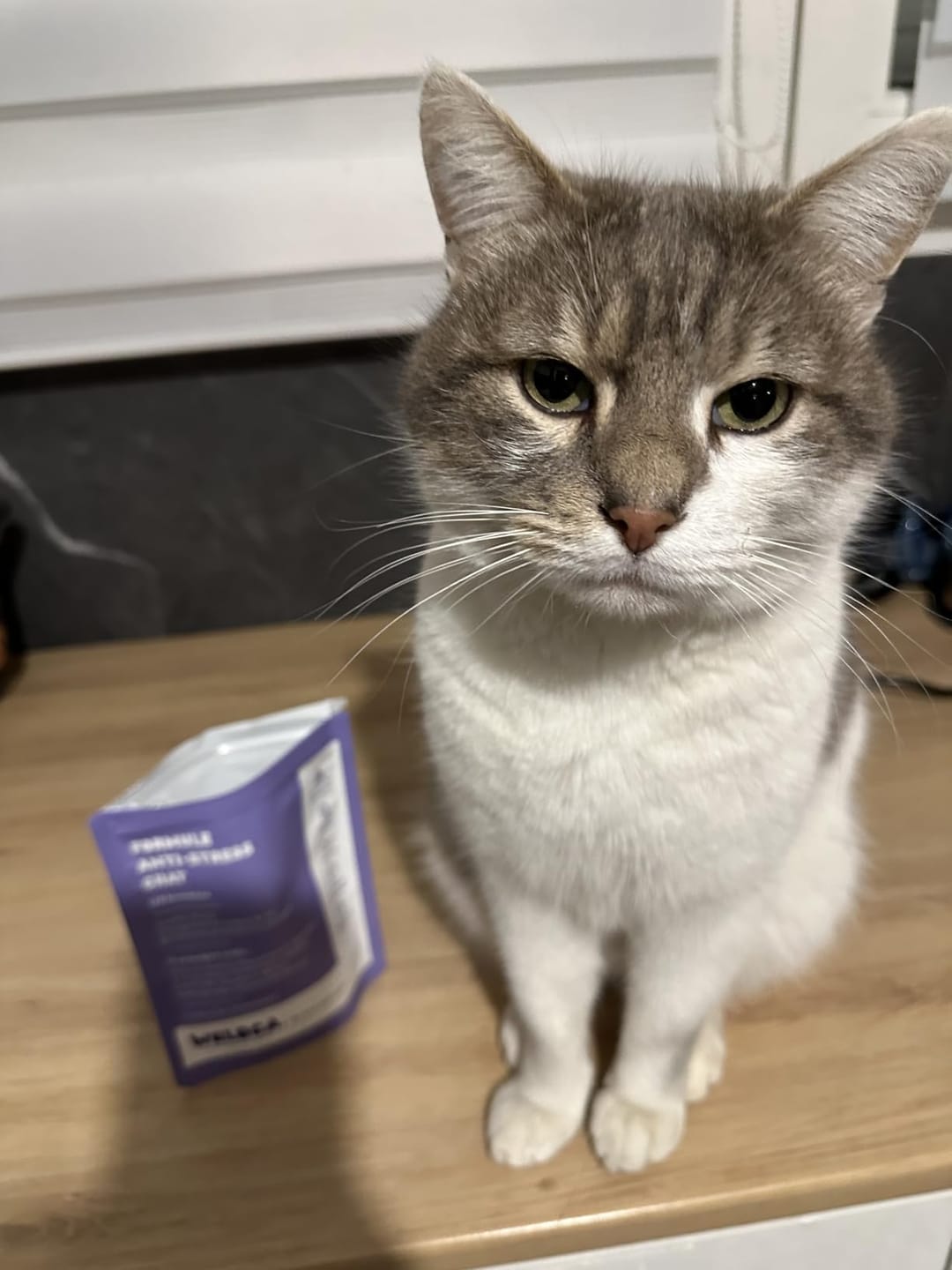 Customer photo review of Complément anti-stress  | Chat