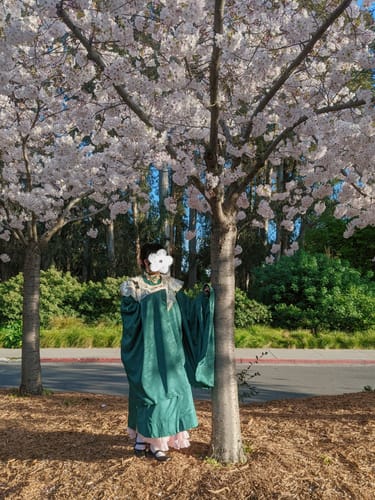 Customer photo review of Yulan Ying 玉兰影 Magnolia Shadow Ming Dynasty Spring Summer Hanfu