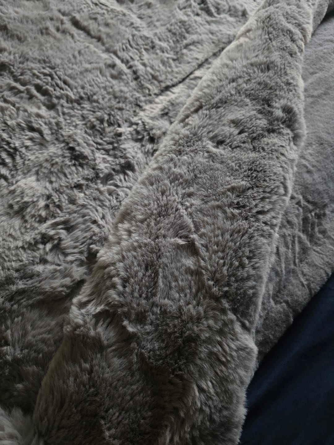 Customer photo review of WÛLF Blanket, By SĀNTI