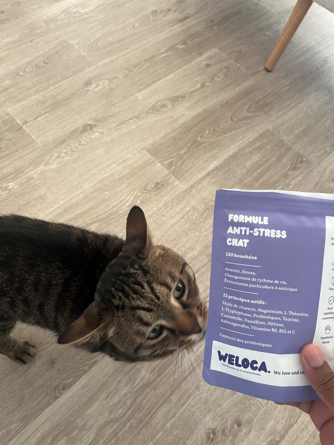 Customer photo review of Complément anti-stress  | Chat