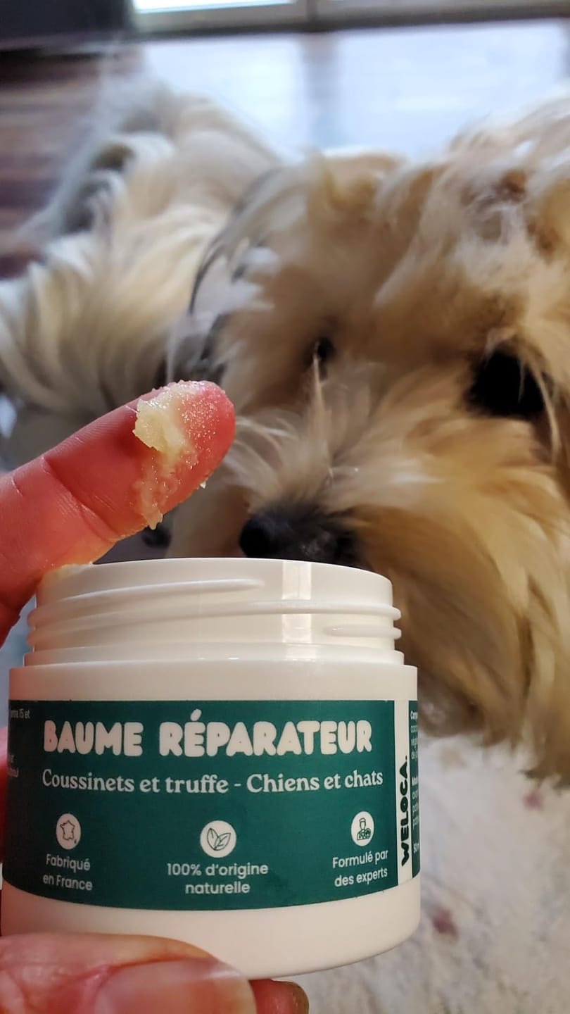 Customer photo review of Baume réparateur | Chiens et chats