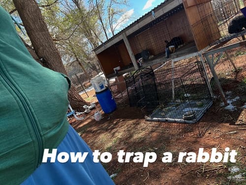 Customer photo review of Ryann Hoodie - Sea Mist