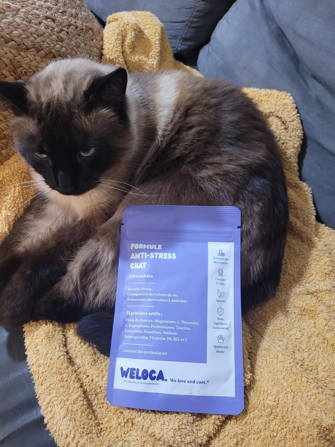 Customer photo review of Complément anti-stress  | Chat