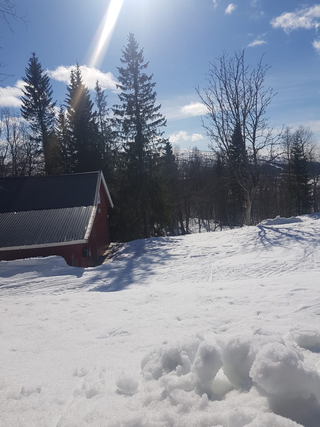 Customer photo review of Solkrem