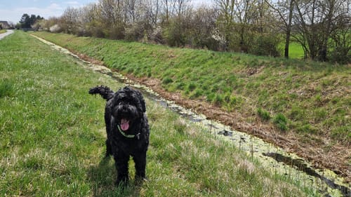 Customer photo review of Multi Vital