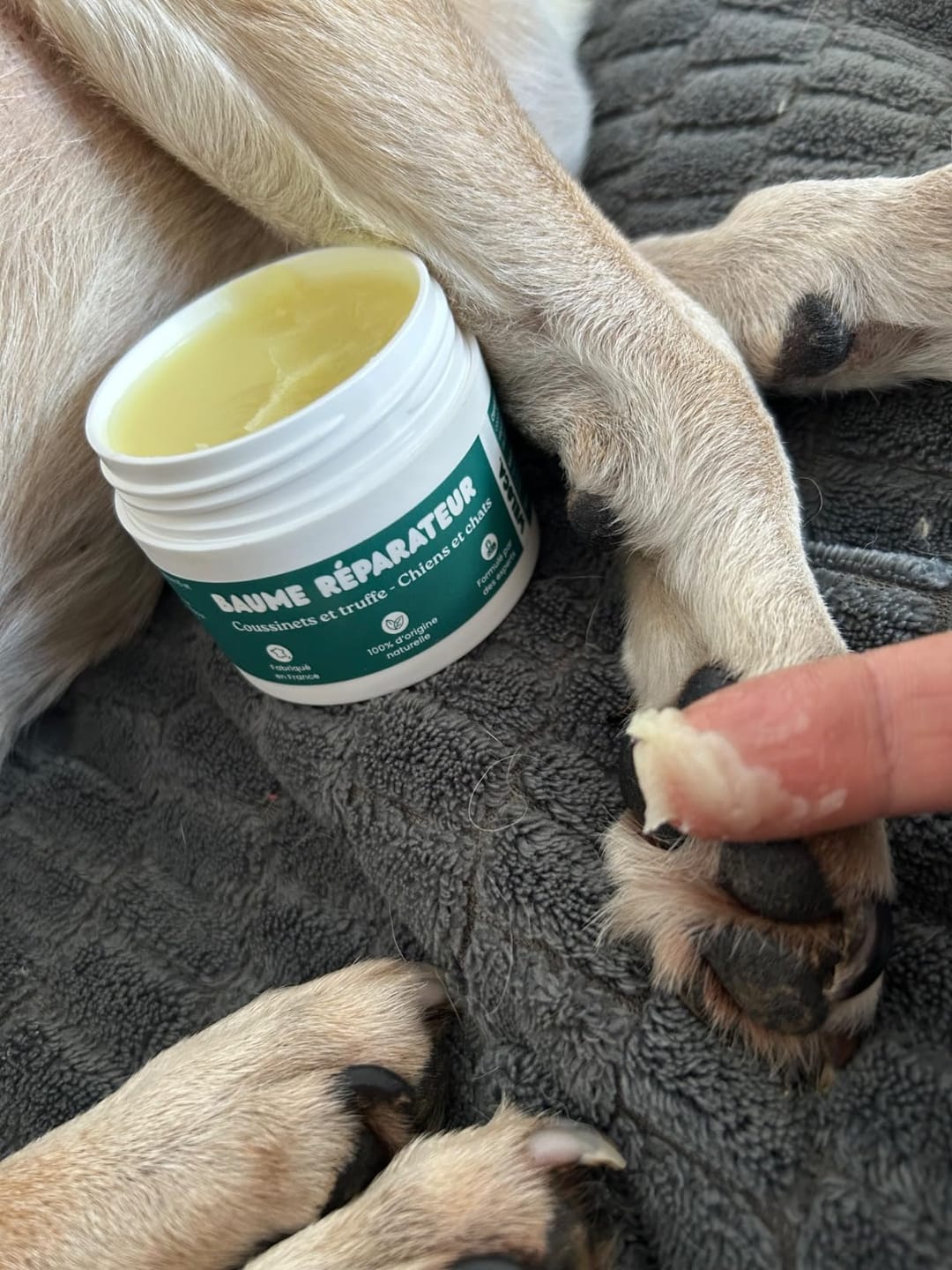 Customer photo review of Baume réparateur | Chiens et chats