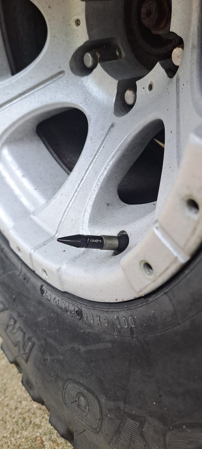Customer photo review of Spiked Valve Stem Caps
