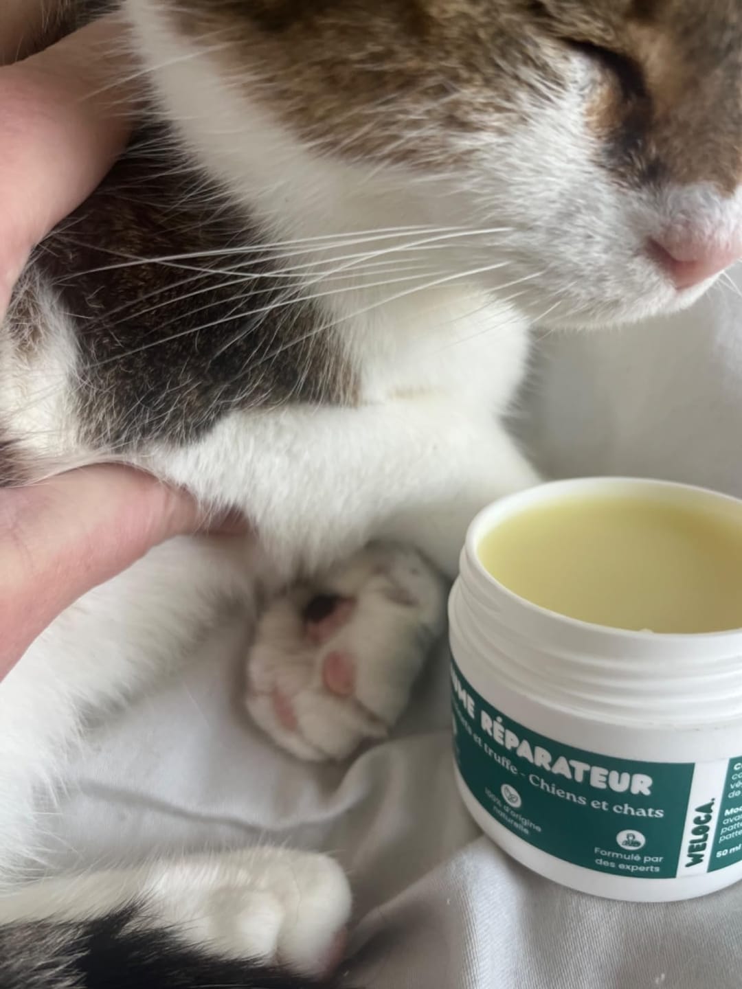Customer photo review of Baume réparateur | Chiens et chats