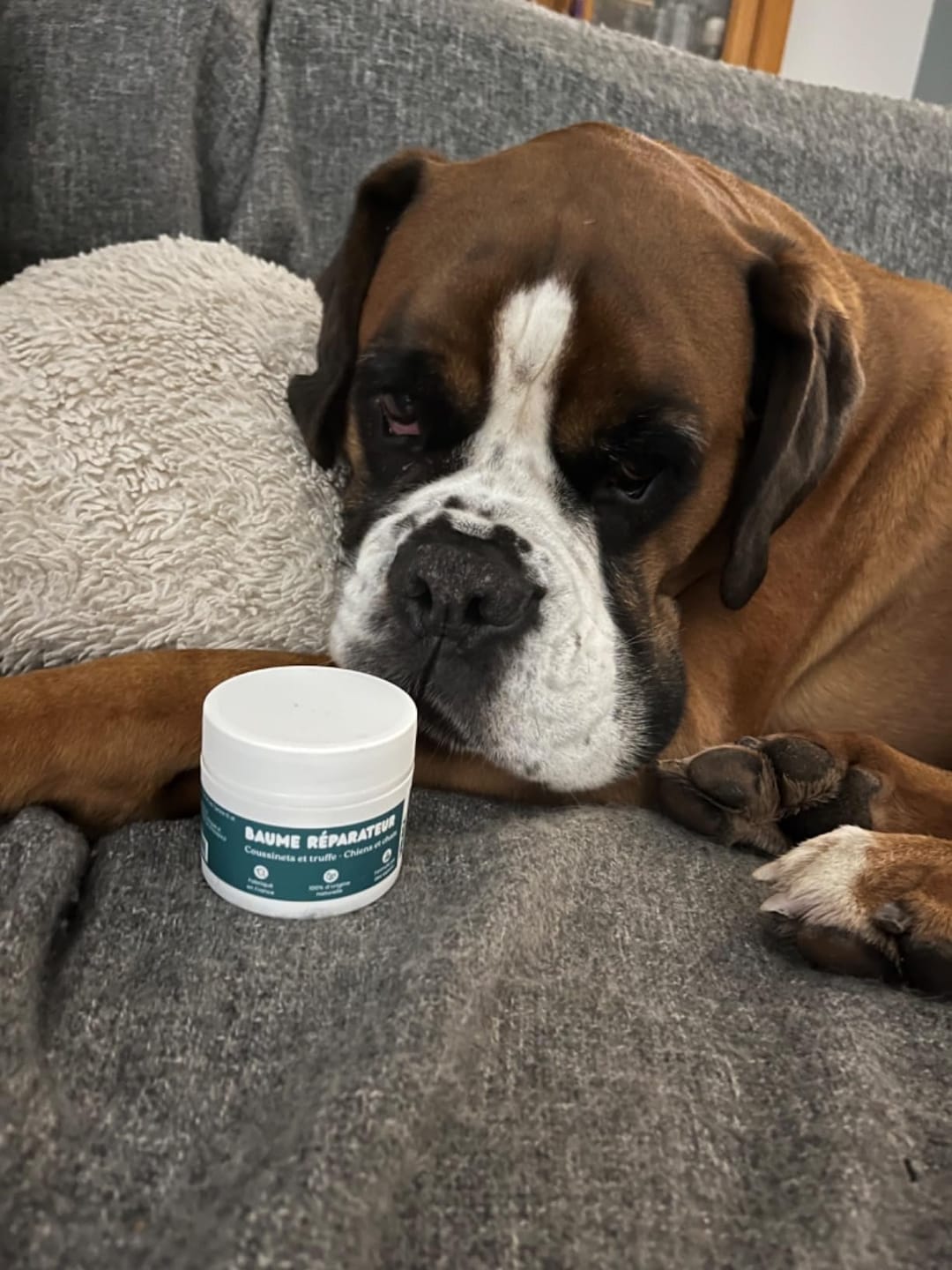 Customer photo review of Baume réparateur | Chiens et chats