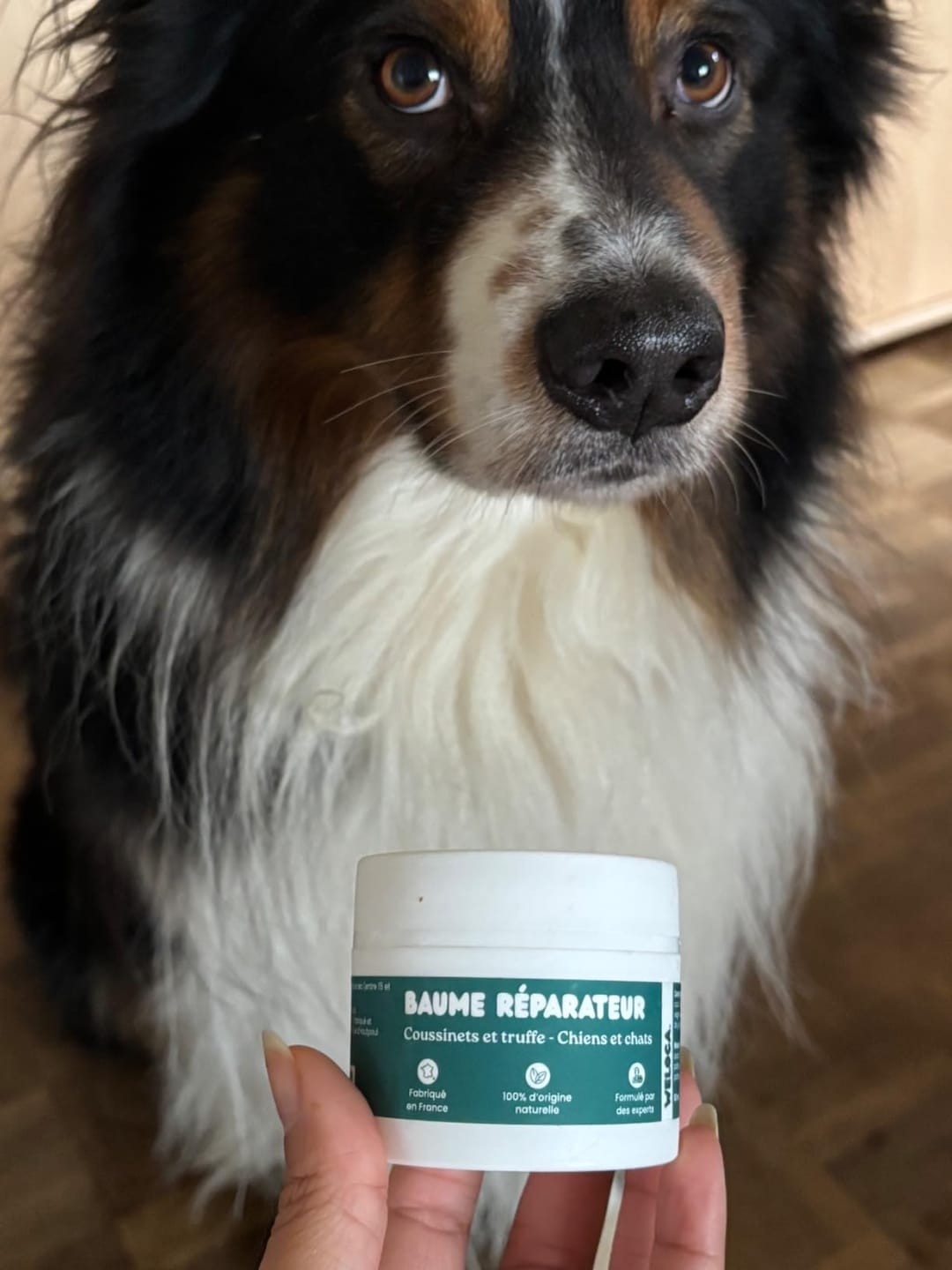 Customer photo review of Baume réparateur | Chiens et chats