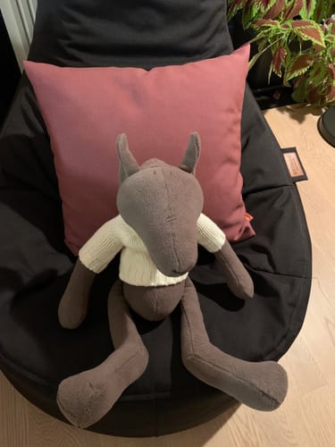 Customer photo review of PIOTR, LE LOUP - GRAND - SPÉCIAL PRINTEMPS