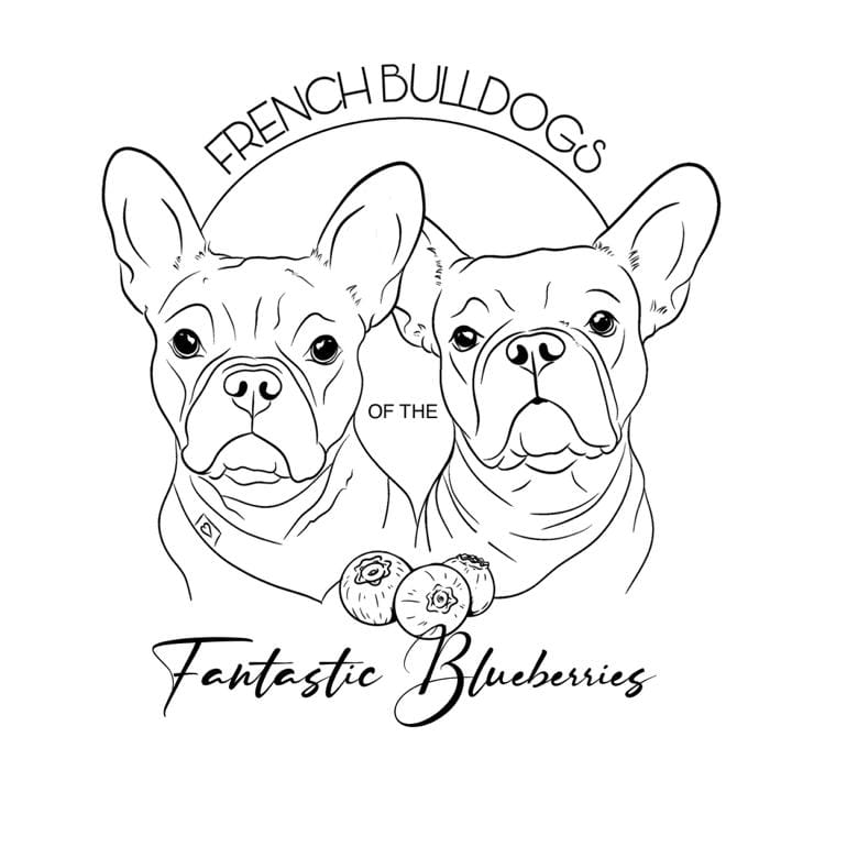Customer photo review of LineArt-Zeichnung